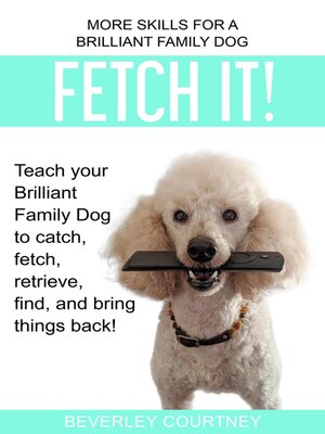 cover image of Fetch It!